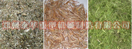 LUTUBE官网下载